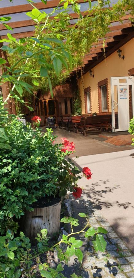 Hotel Siedlisko Pod Debem Wilimy Exterior foto